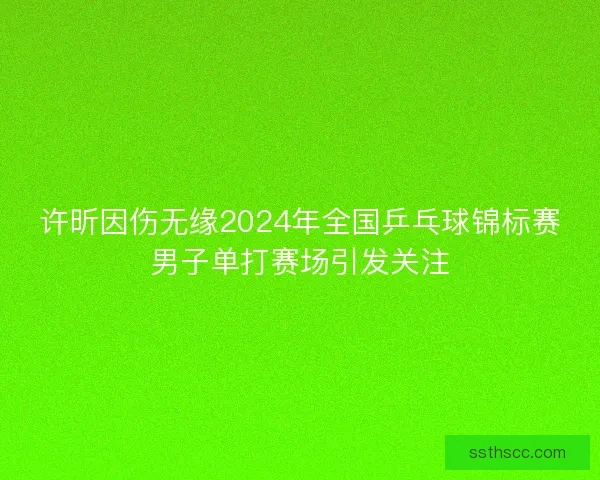 许昕因伤无缘2024年全国乒乓球锦标赛男子单打赛场引发关注