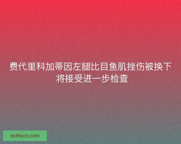 费代里科加蒂因左腿比目鱼肌挫伤被换下 将接受进一步检查 费代里科加蒂因左腿比目鱼肌挫伤被换下 将接受进一步检查